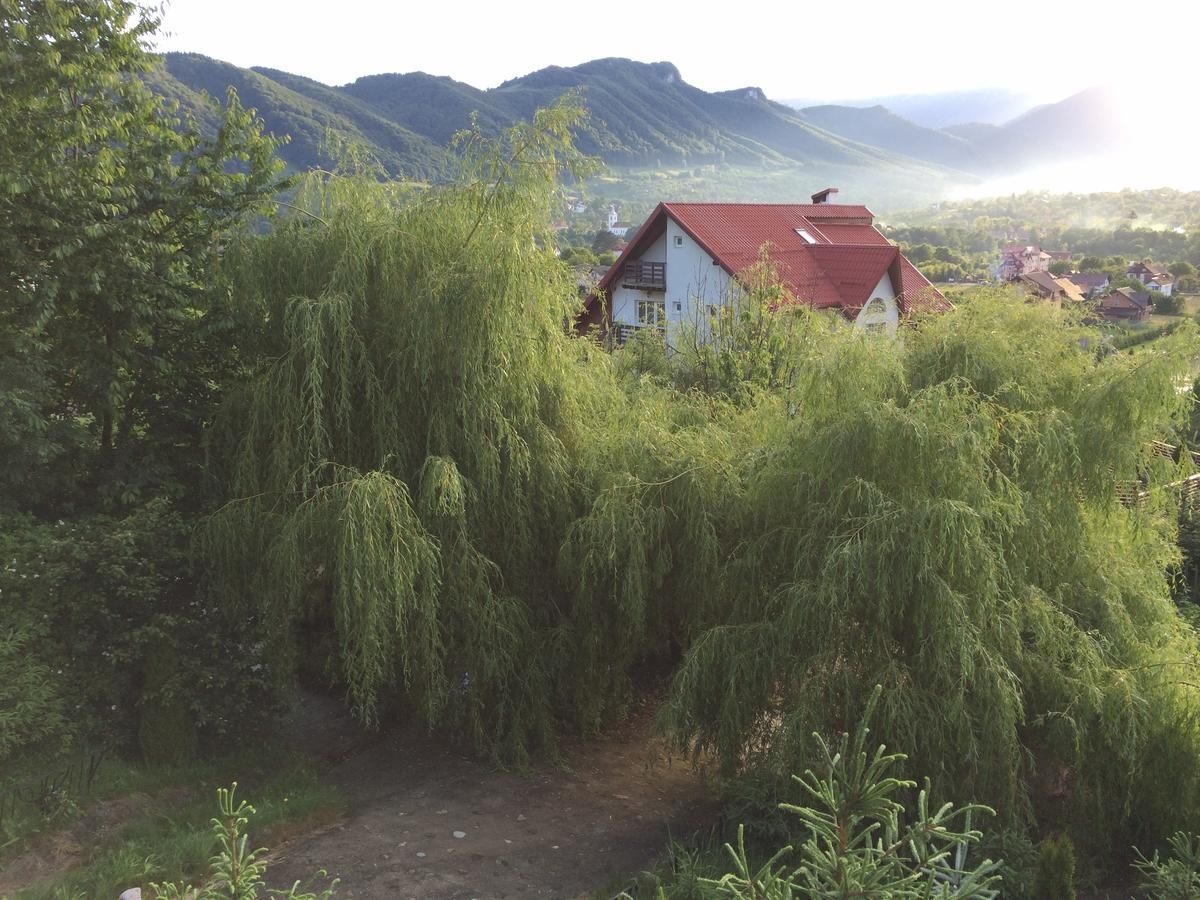 Гостевой дом Pensiunea Ego Residence Бран-32