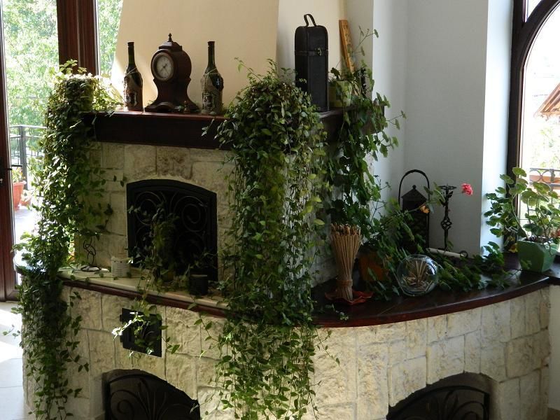 Гостевой дом Pensiunea Ego Residence Бран-34