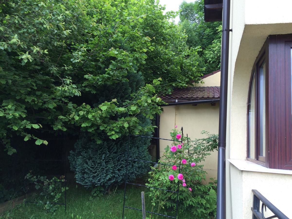 Гостевой дом Pensiunea Ego Residence Бран-38