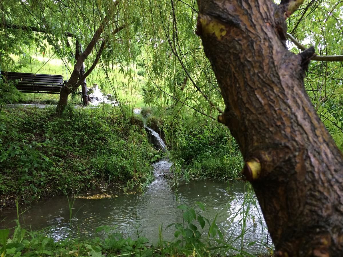 Гостевой дом Pensiunea Ego Residence Бран-40