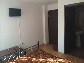 Гостевой дом Pensiunea Ego Residence Бран Стандартный двухместный номер с 1 кроватью-3